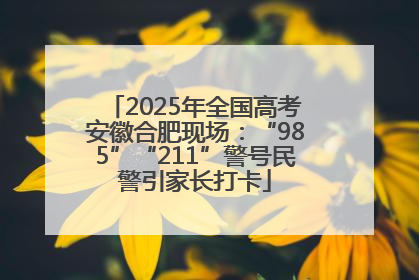 2025年全国高考安徽合肥现场：“985”“211”警号民警引家长打卡