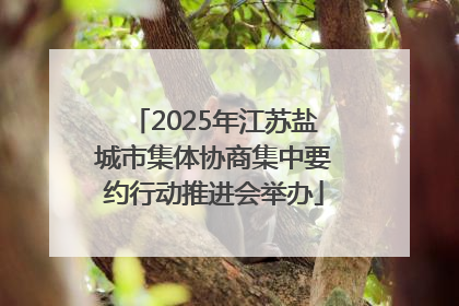 2025年江苏盐城市集体协商集中要约行动推进会举办