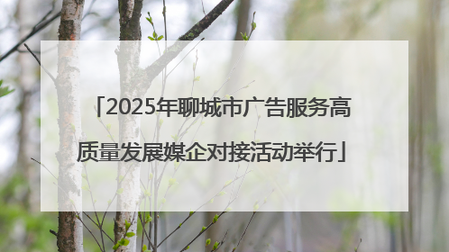 2025年聊城市广告服务高质量发展媒企对接活动举行