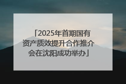 2025年首期国有资产质效提升合作推介会在沈阳成功举办