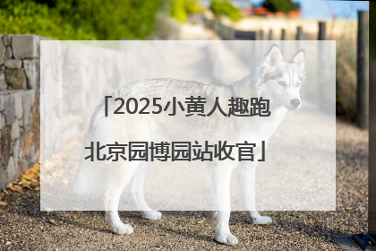 2025小黄人趣跑北京园博园站收官
