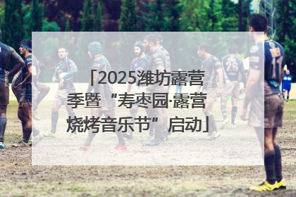 2025潍坊露营季暨“寿枣园·露营烧烤音乐节”启动