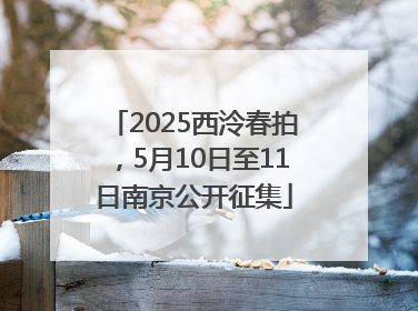 2025西泠春拍，5月10日至11日南京公开征集
