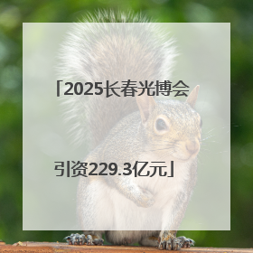 2025长春光博会引资229.3亿元