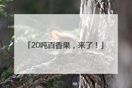 20吨百香果，来了！