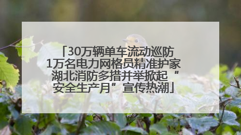 30万辆单车流动巡防 1万名电力网格员精准护家 湖北消防多措并举掀起“安全生产月”宣传热潮