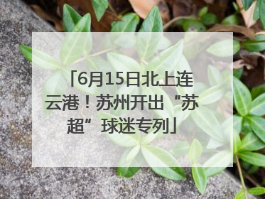 6月15日北上连云港！苏州开出“苏超”球迷专列