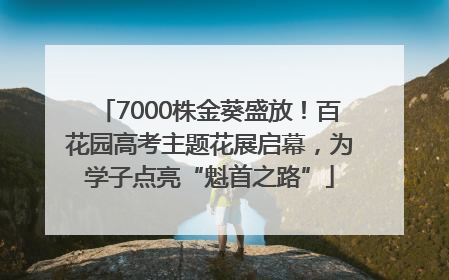 7000株金葵盛放！百花园高考主题花展启幕，为学子点亮“魁首之路”