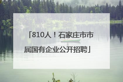 810人！石家庄市市属国有企业公开招聘