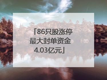 86只股涨停 最大封单资金4.03亿元