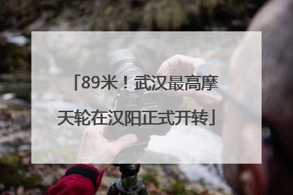 89米！武汉最高摩天轮在汉阳正式开转