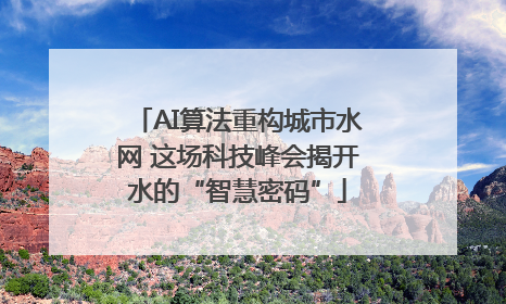 AI算法重构城市水网 这场科技峰会揭开水的“智慧密码”