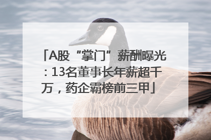 A股“掌门”薪酬曝光：13名董事长年薪超千万，药企霸榜前三甲