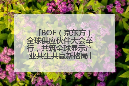 BOE（京东方）全球供应伙伴大会举行，共筑全球显示产业共生共赢新格局