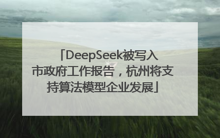 DeepSeek被写入市政府工作报告，杭州将支持算法模型企业发展