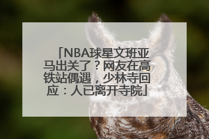 NBA球星文班亚马出关了？网友在高铁站偶遇，少林寺回应：人已离开寺院